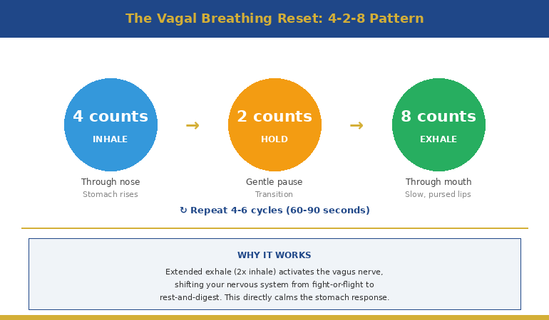 breathing-technique-pre-presentation-vomiting-in-article-1 - Winning Presentations Diagram showing the vagal breathing reset technique with inhale exhale and hold timing for presentation nausea