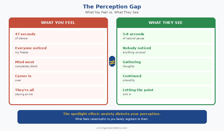 The Perception Gap diagram showing what you feel versus what the audience actually sees when freezing during a presentation