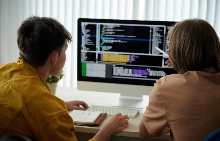 Two software developers working on the computer.