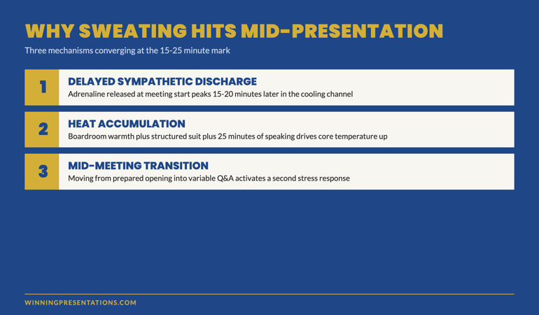 Why the sweat hits mid-presentation: three converging mechanisms shown as numbered cards — delayed sympathetic discharge from adrenaline circulating 15-20 minutes after release, heat accumulation under structured stage clothing, and the body's mid-meeting transition into the more variable middle section