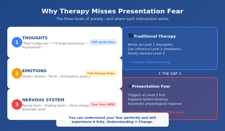 Three levels of anxiety showing thoughts emotions and nervous system with therapy addressing level one while presentation fear operates at level three