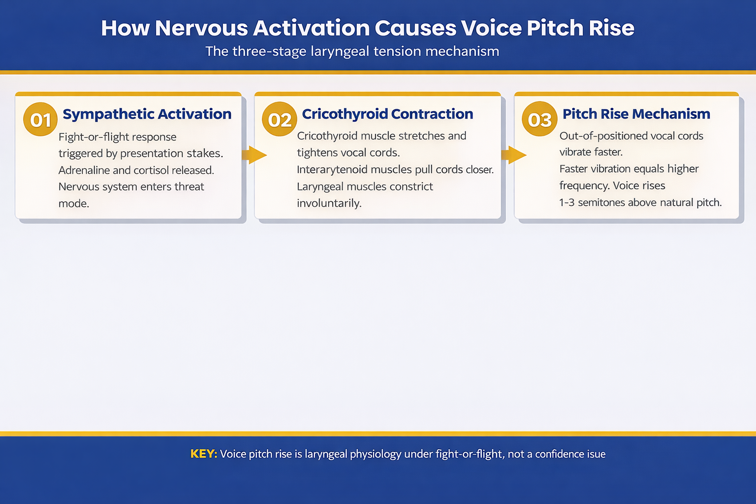 Comparison infographic showing pre-presentation foundation reset techniques versus in-the-moment voice recovery techniques with timing guidance for each approach to controlling nervous voice pitch