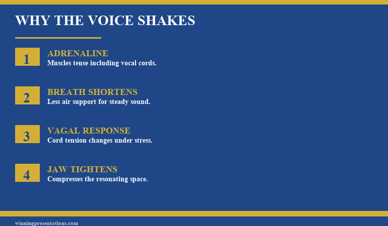 Diagram showing the physiological chain when voice shakes during presentations: stress trigger, sympathetic nervous system response, shortened breath and laryngeal muscle tension, audible voice tremor, and the reset point where breath and posture intervene